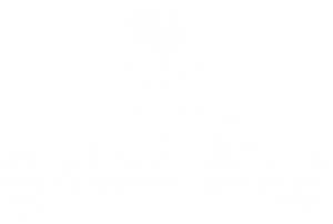 Vinarija Salaš Naš