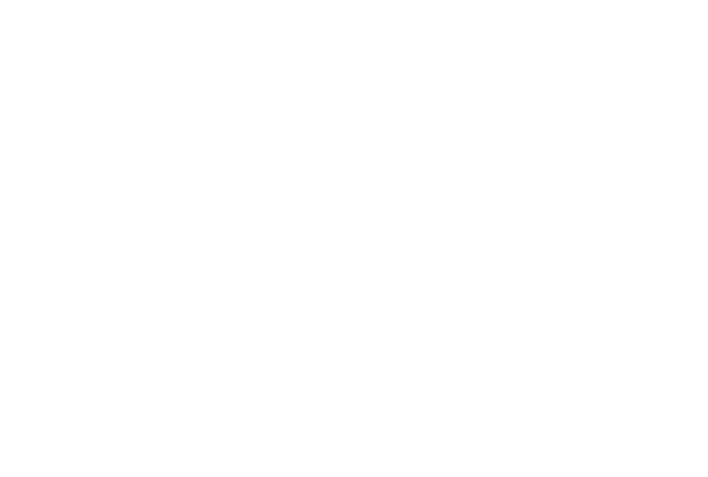 Vinarija Salaš Naš